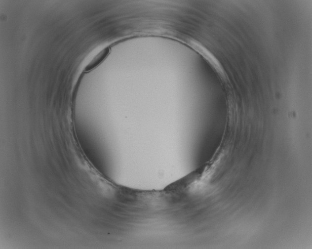 X0000077380956200611031933