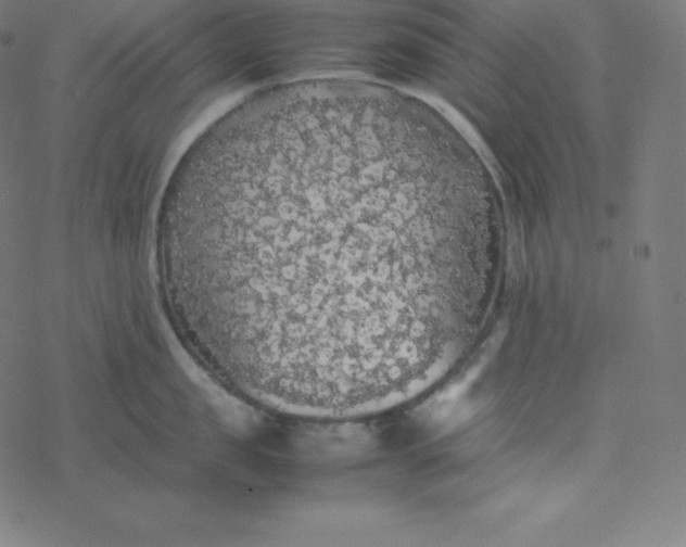 X0000077380957200611031933