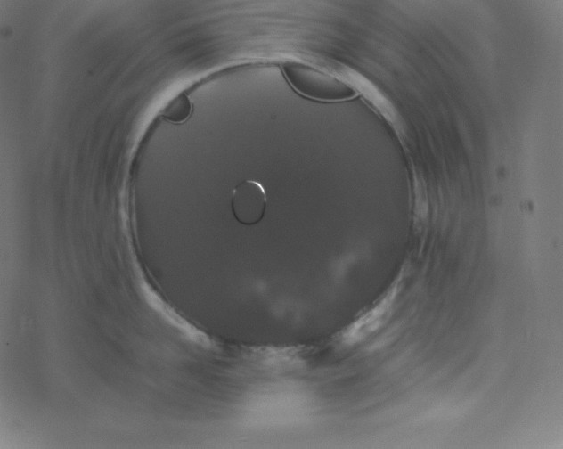 X0000077380958200611031933