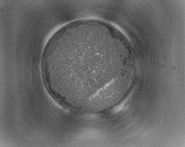 X0000077380959200611031933