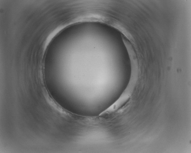 X0000077380960200611031933