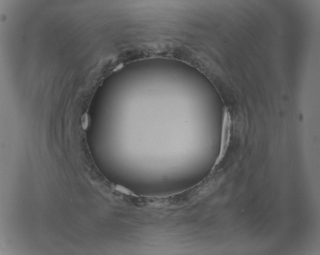 X0000077380961200611031932