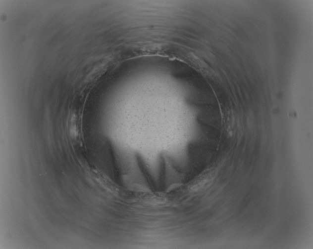 X0000077380962200611031932