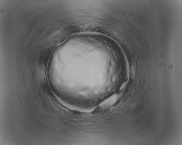 X0000077380963200611031932