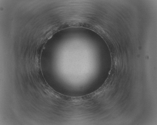 X0000077380964200611031932