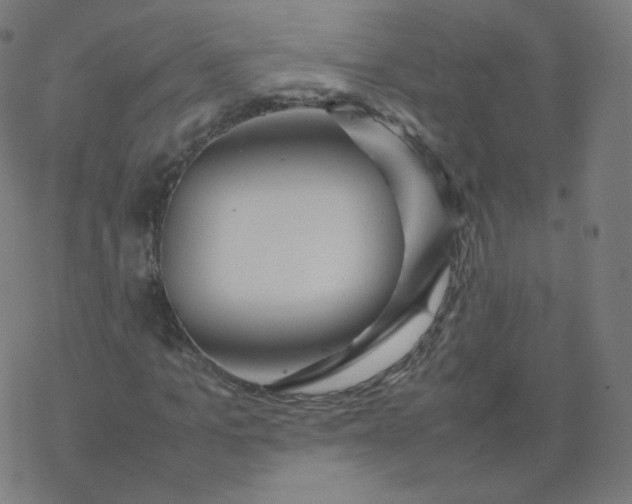 X0000077380965200611031932