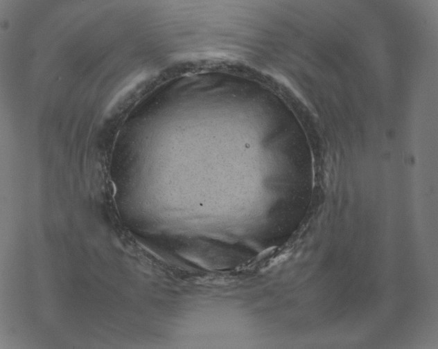 X0000077380967200611031932