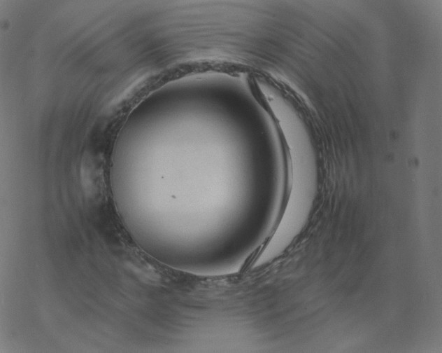 X0000077380968200611031932