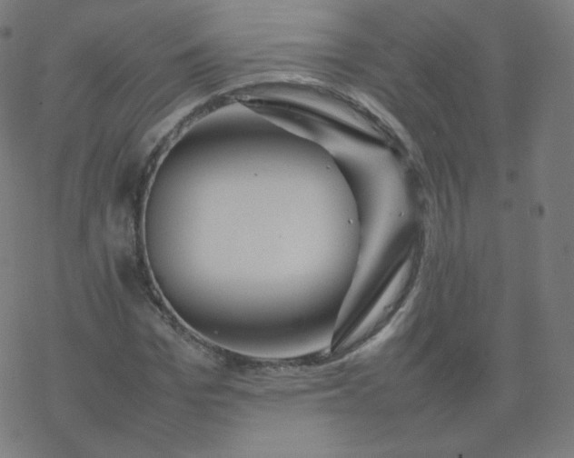 X0000077380969200611031932