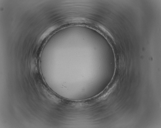 X0000077380970200611031932