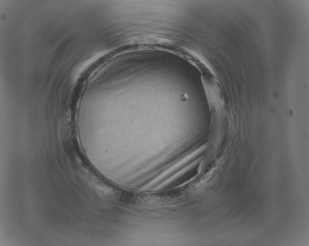 X0000077380971200611031932