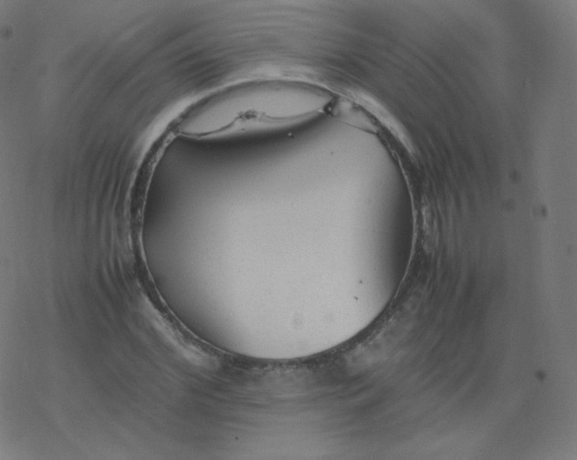 X0000077380972200611031932