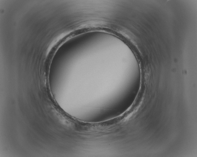 X0000077380973200611031932