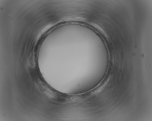 X0000077380974200611031932