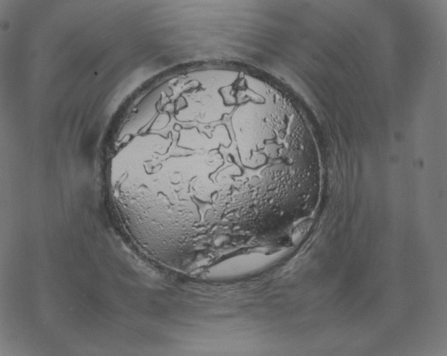 X0000077380975200611031932