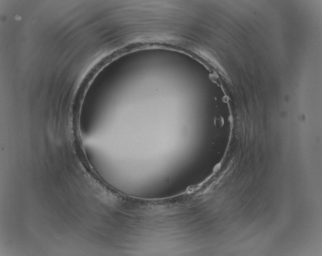 X0000077380976200611031932