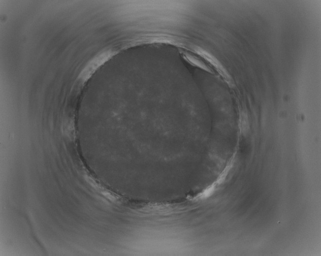 X0000077380977200611031932