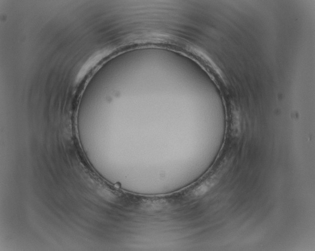 X0000077380978200611031932