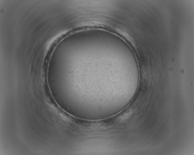 X0000077380979200611031932