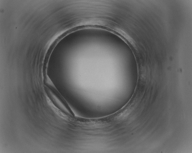 X0000077380980200611031932