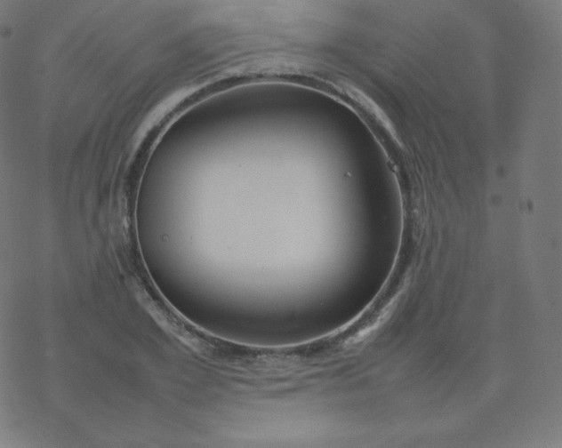 X0000077380981200611031932