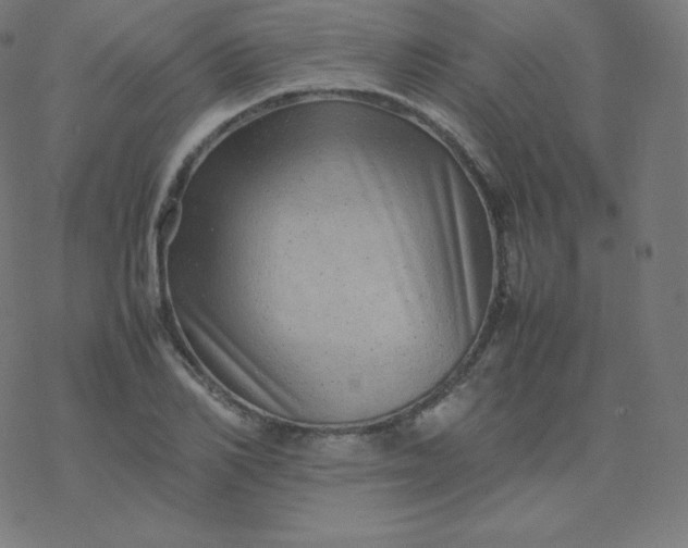 X0000077380982200611031932