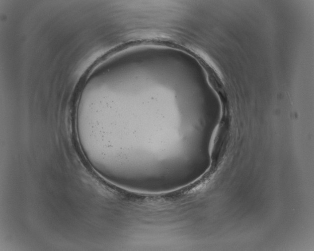 X0000077380983200611031932