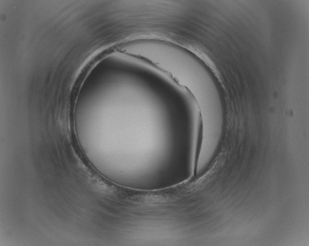 X0000077380984200611031932