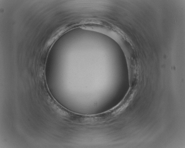 X0000077380985200611031932