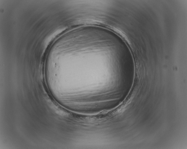 X0000077380987200611031932