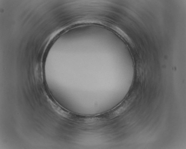 X0000077380988200611031932