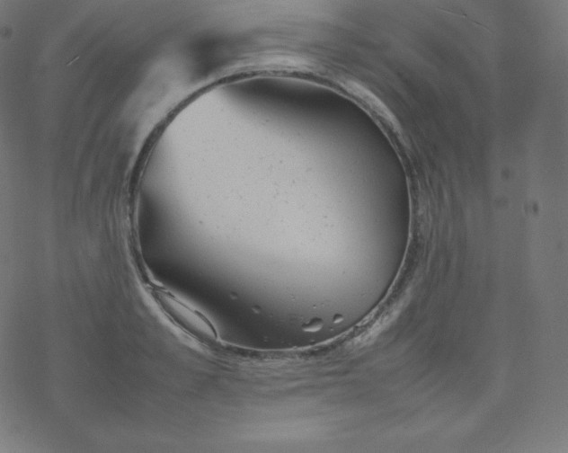 X0000077380989200611031932