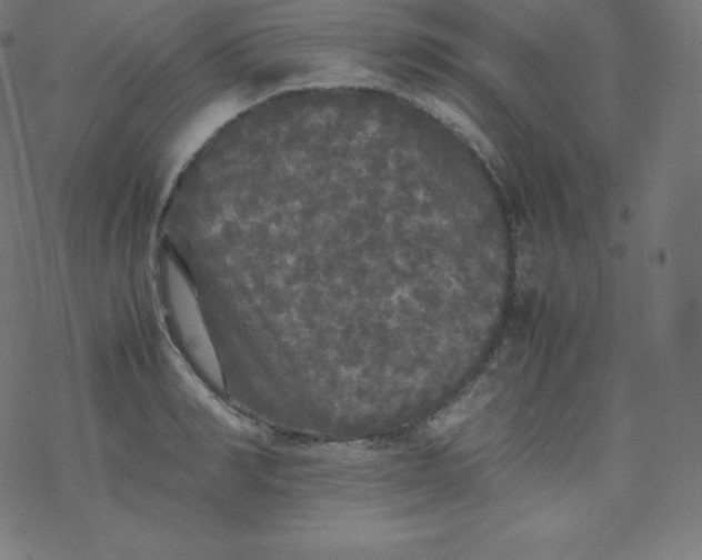 X0000077380990200611031932