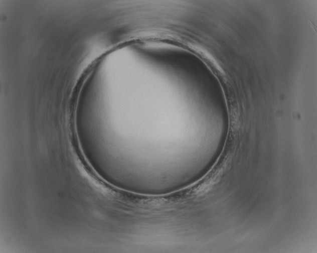 X0000077380991200611031932