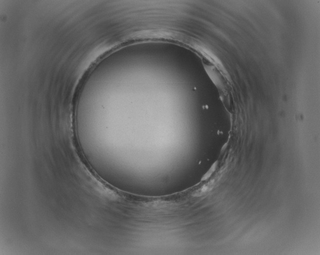 X0000077380992200611031932