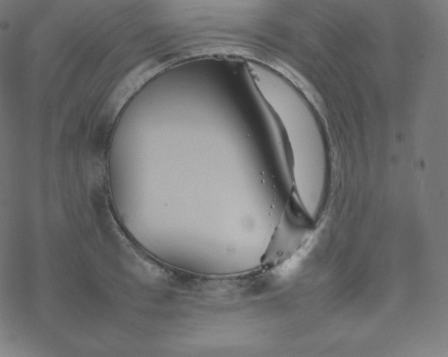 X0000077380993200611031932