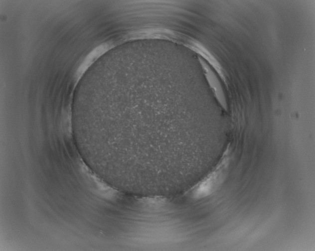 X0000077380994200611031932