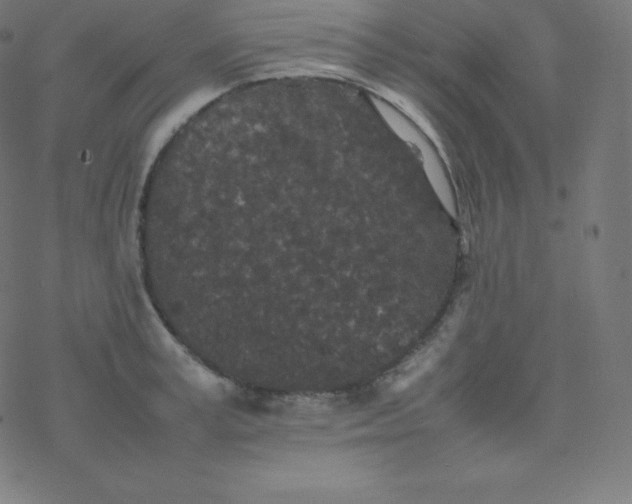 X0000077380995200611031932