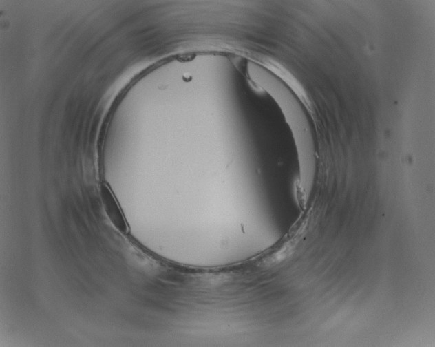 X0000077380996200611031932