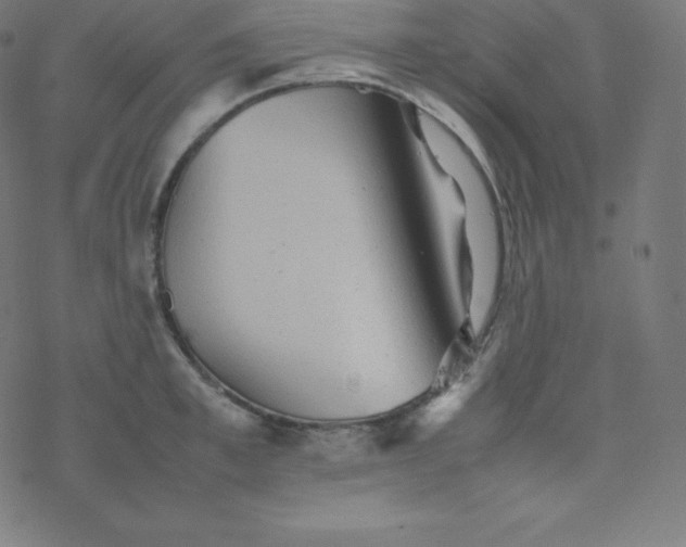 X0000077380997200611031932