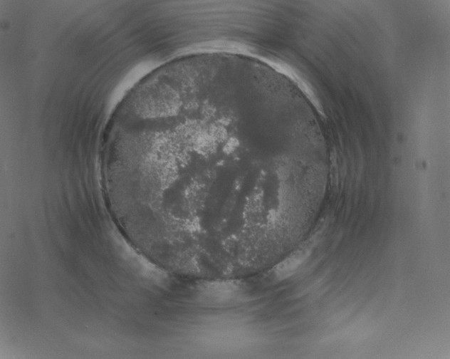 X0000077380998200611031932