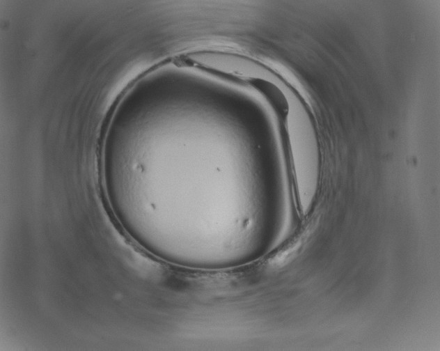 X0000077380999200611031932