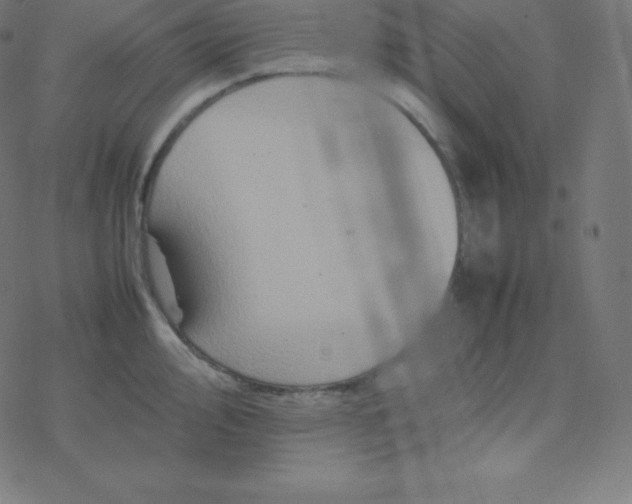 X0000077381000200611031932