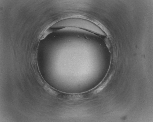 X0000077381001200611031932