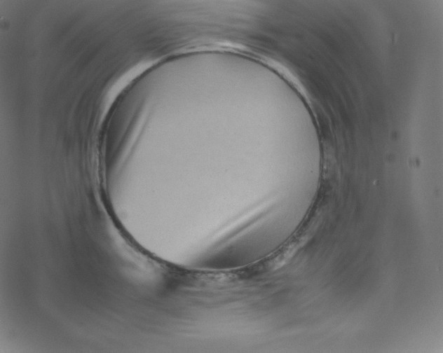 X0000077381003200611031932