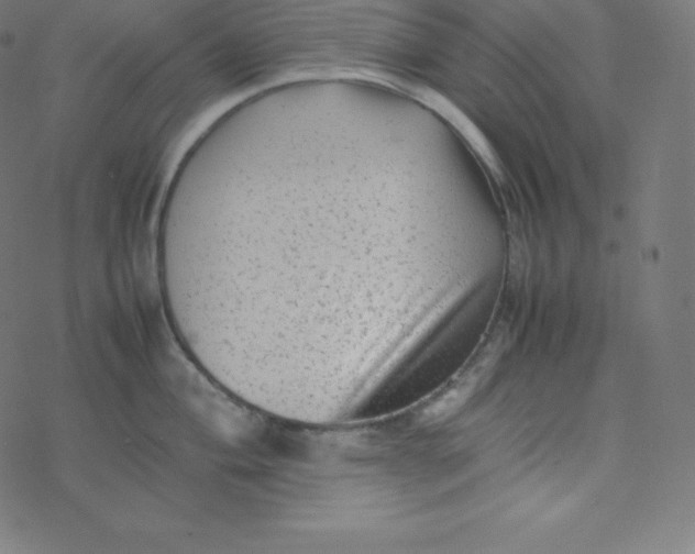 X0000077381004200611031932