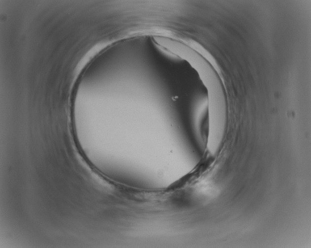 X0000077381005200611031932