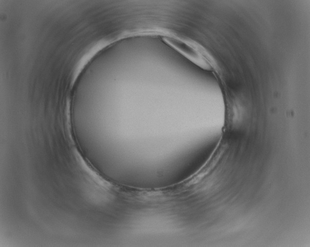 X0000077381006200611031932