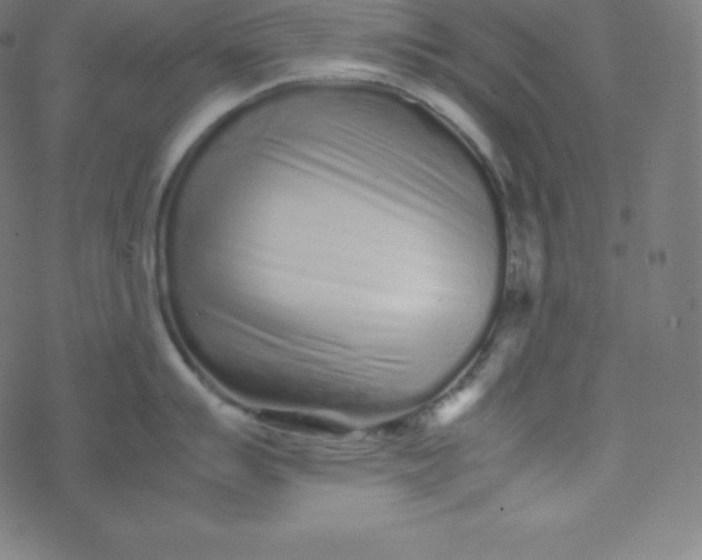 X0000077381007200611031932