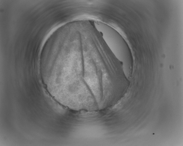 X0000077381008200611031932